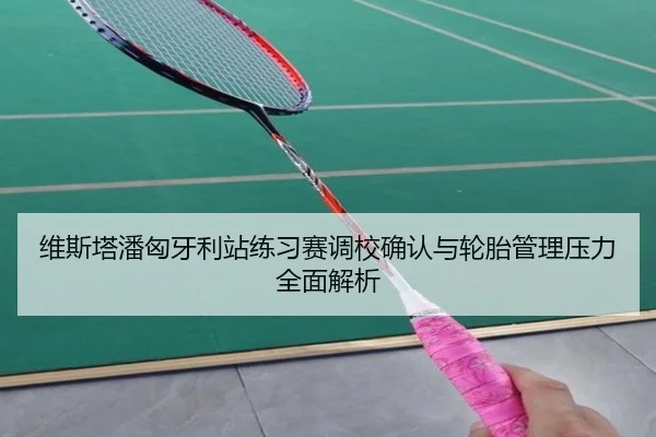 维斯塔潘匈牙利站练习赛调校确认与轮胎管理压力全面解析
